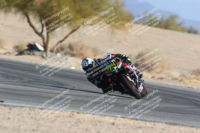 media/Jan-14-2024-SoCal Trackdays (Sun) [[2e55ec21a6]]/Turn 4 Tree of Life (155pm)/